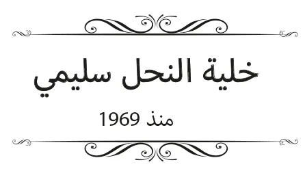 الرئيسية 1